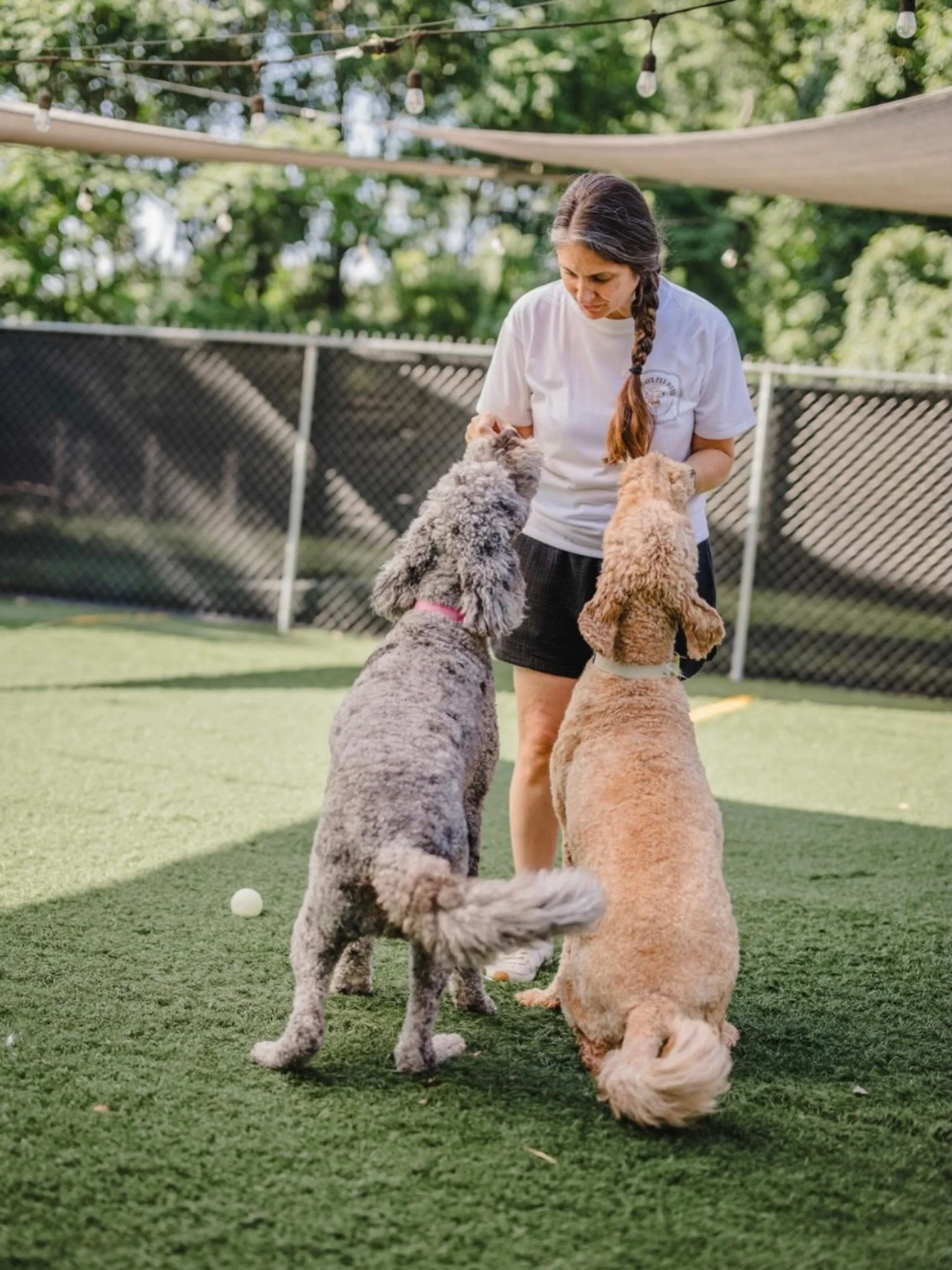 Dog Days Pet Hotel was created by a simple belief: dogs deserve more than loud rooms, constant stimulation, and crowded care.
After seeing how overwhelming traditional boarding environments can be, I set out to create something different &mdash; a sp