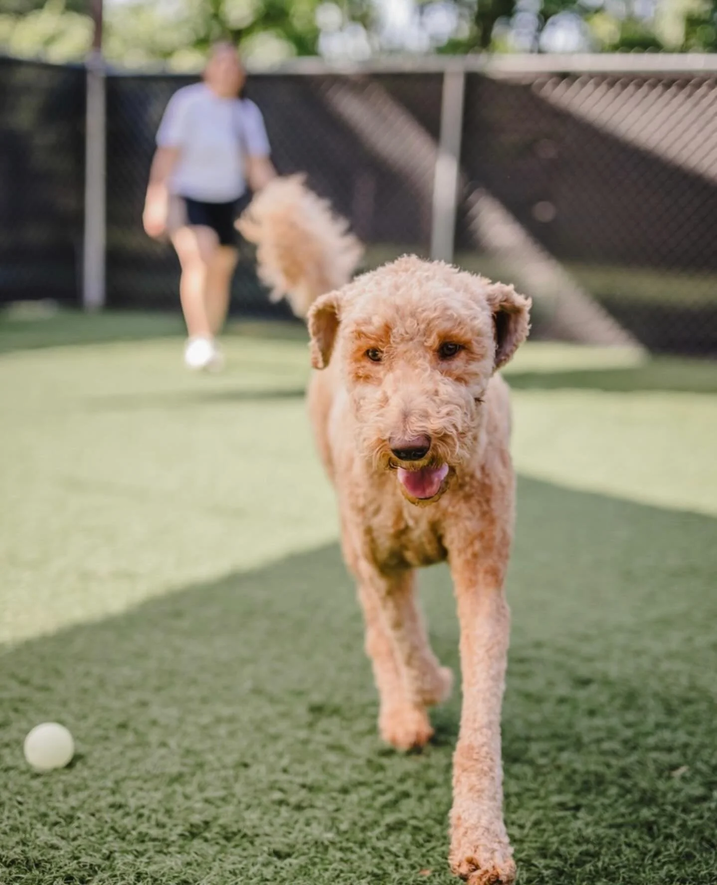 We&rsquo;ve reimagined boarding with a calm, intentionally small environment focused on comfort, routine, and personalized care instead of overcrowded playgroups. While your dog enjoys a relaxing vacation, you&rsquo;ll receive regular photo and video