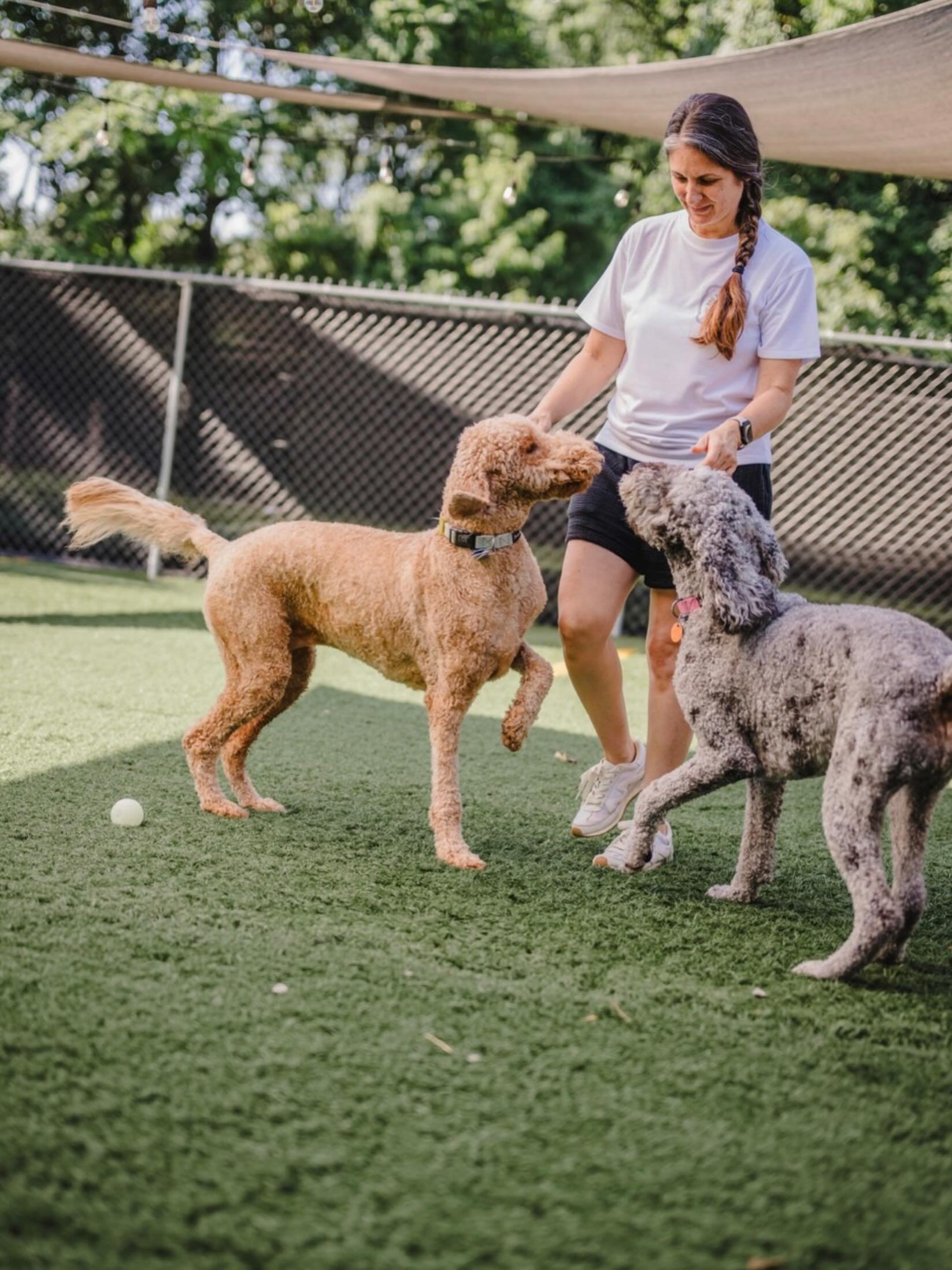 Every detail of Dog Days Pet Hotel has been thoughtfully designed&mdash;from our intentionally small-scale approach to the way we care for each guest. Our goal is simple: to provide the kind of personalized, trustworthy care we&rsquo;d want for our o
