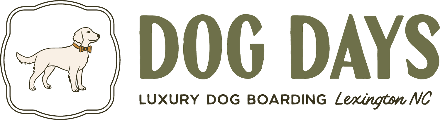 Dog Days Pet Hotel | Luxury Dog Boarding in Lexington NC