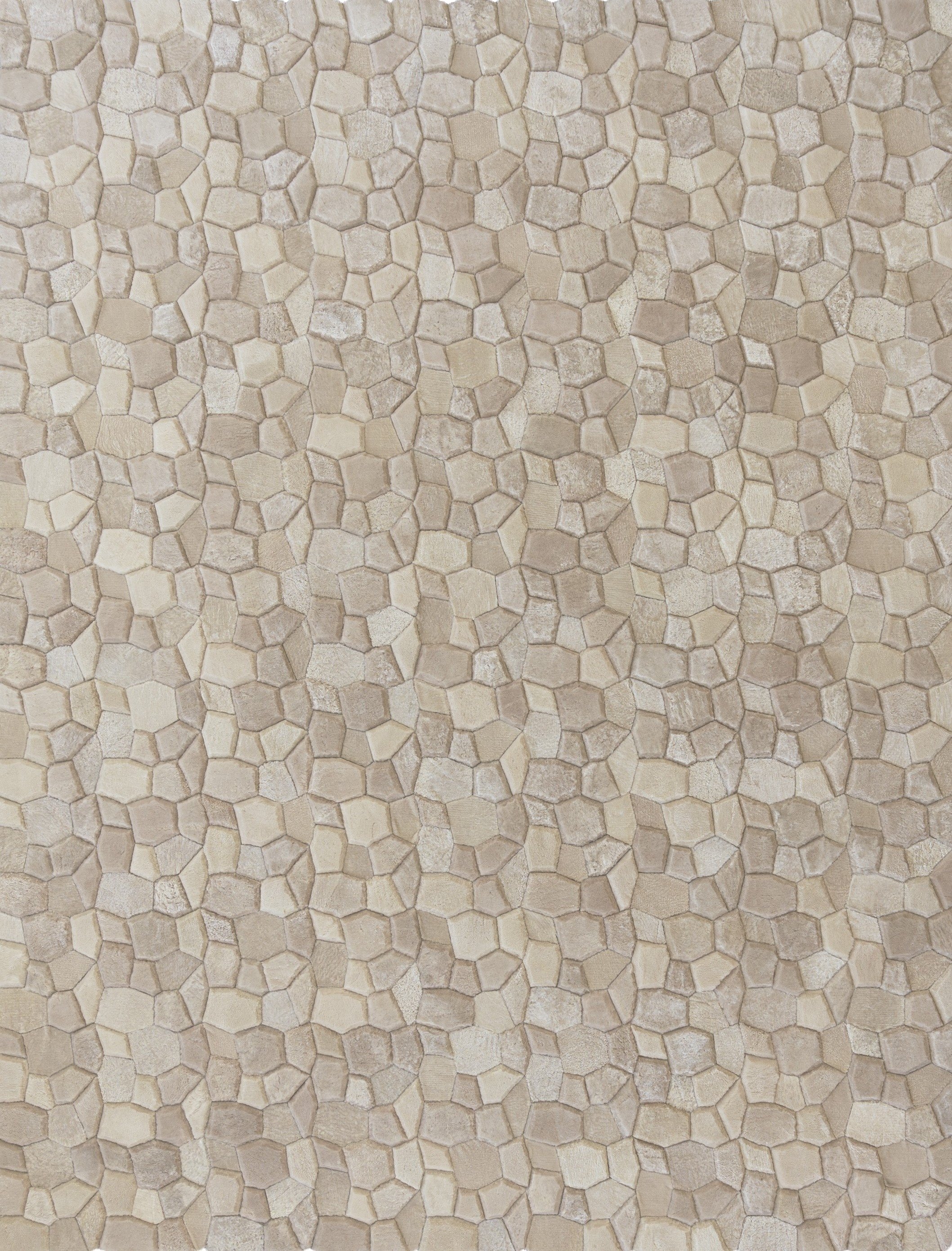 Pampas Leather