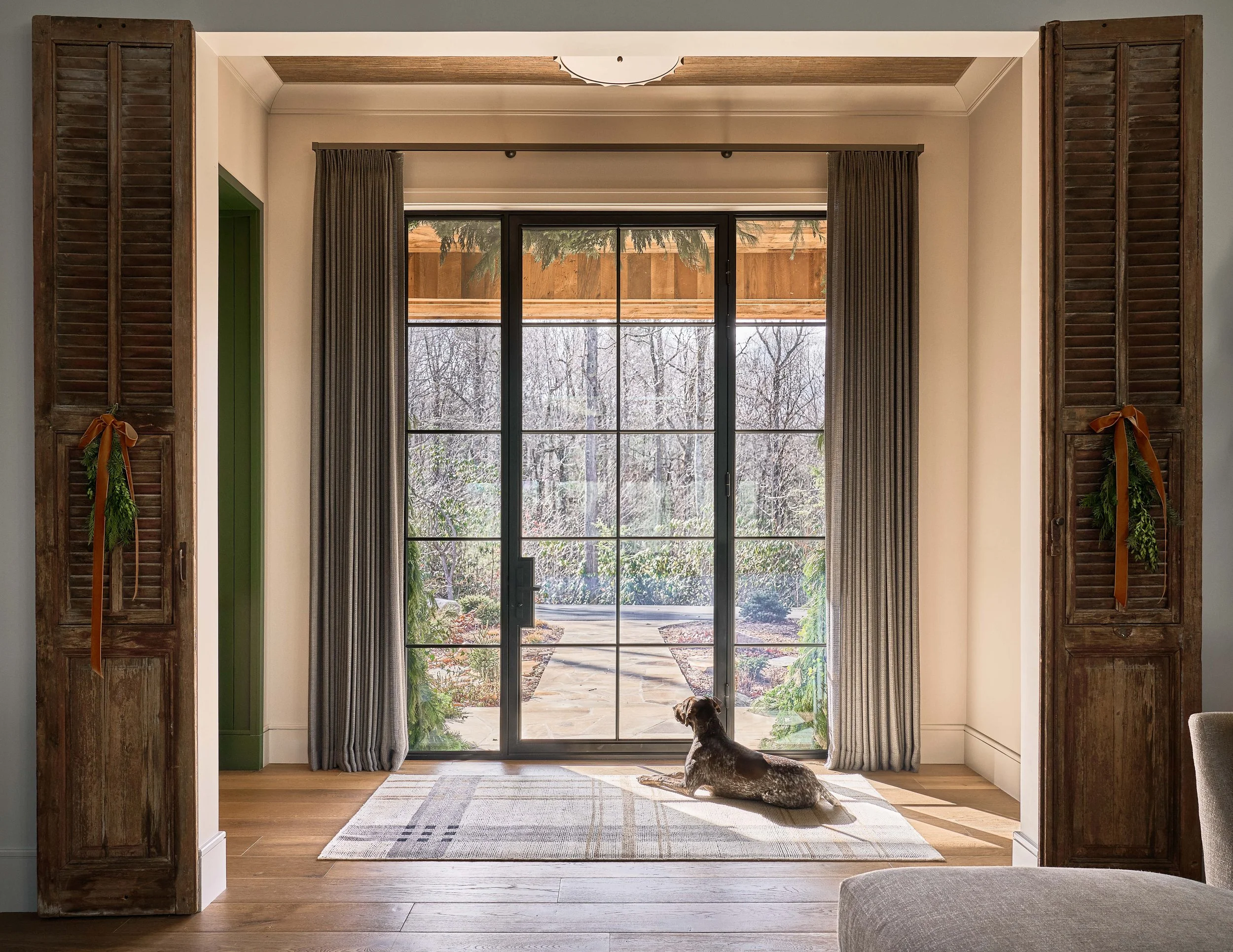 Dog resting on a rug in front of a tall glass door with curtains and rustic shutters