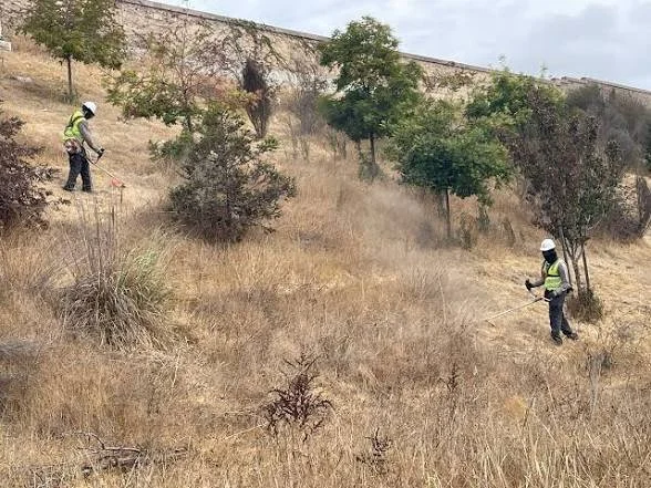 Two workers in safety gear and helmets using tools to clear dry brush and weeds on a hillside near a barrier wall.