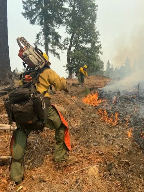 Two firefighters in yellow helmets and protective gear battling a wildfire in a forested area.
