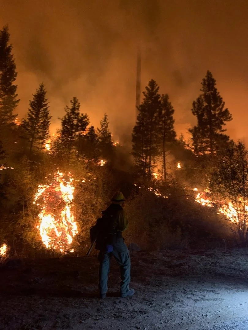 Firefighter standing on dirt ground overlooking a forest fire at night, with trees burning and smoke rising in the background.