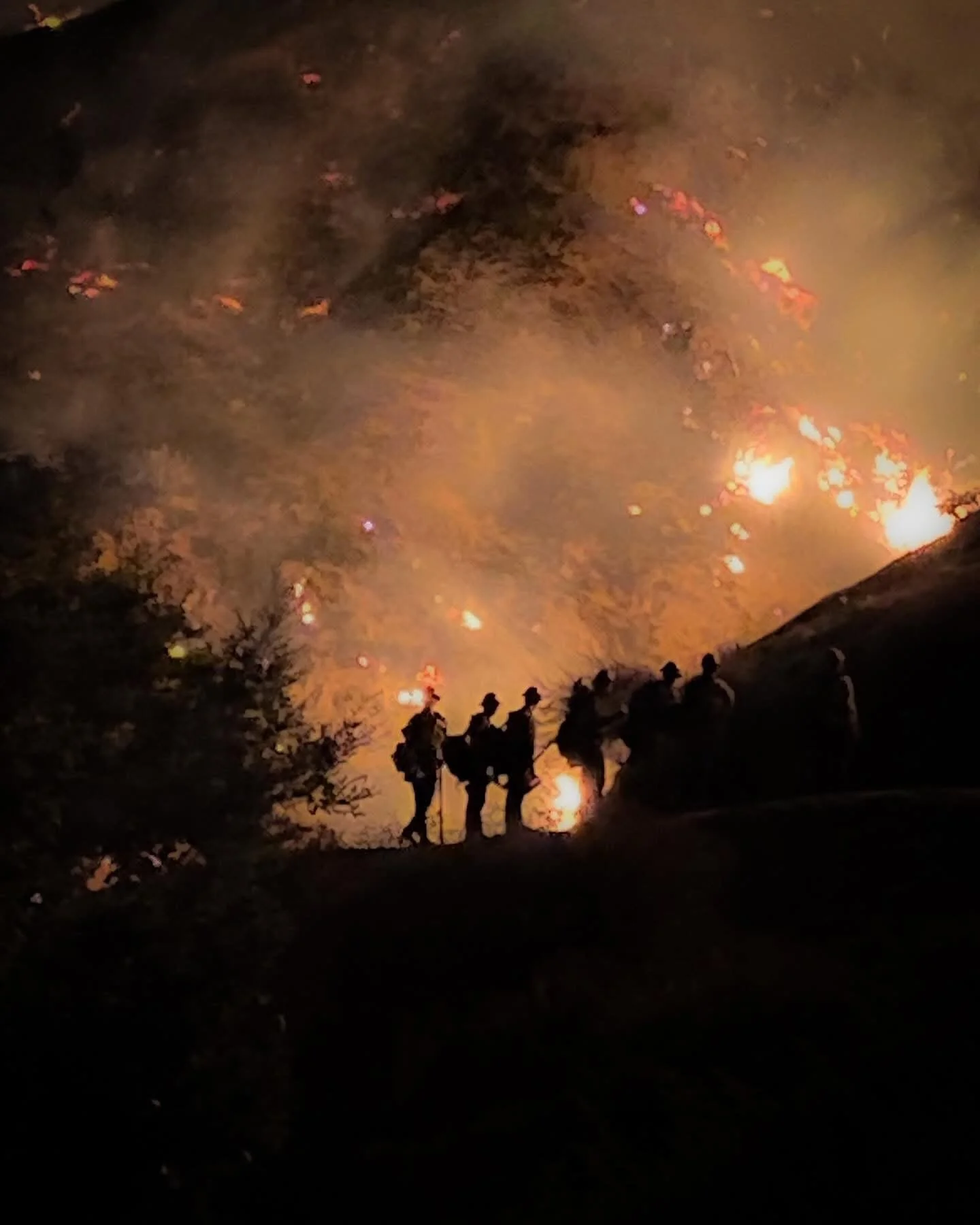 A nighttime scene with a forest fire, individuals standing on the edge observing the fire, with flames and smoke rising in the background.