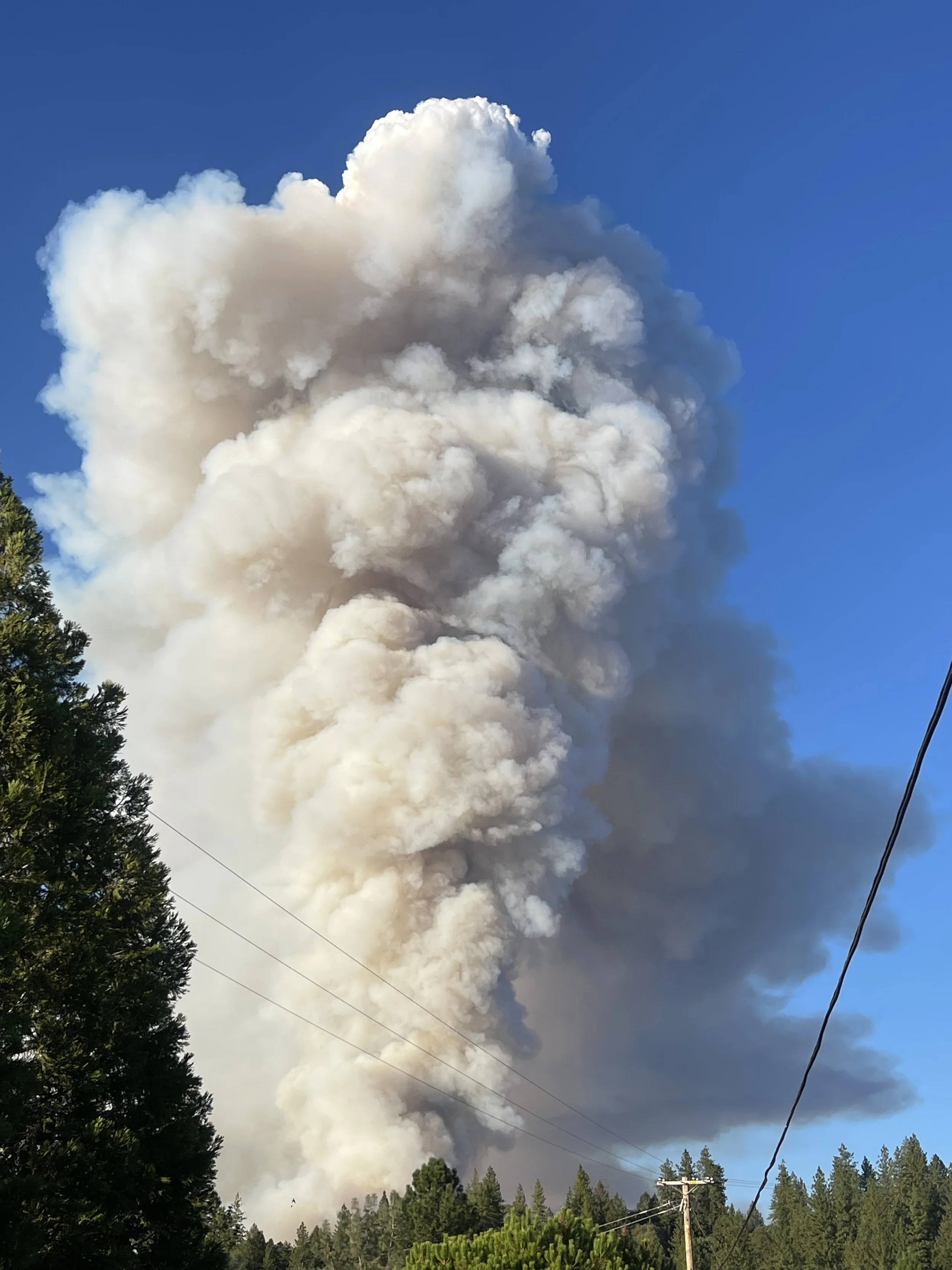 A large plume of thick, gray and white smoke rising into a clear blue sky during the daytime, with trees and power lines visible at the bottom.