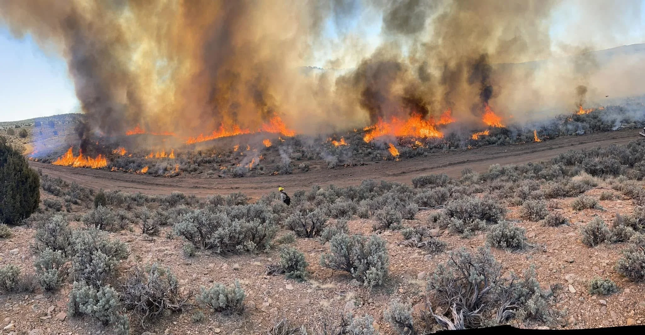 Wildfire spreading across a dry landscape with smoke and flames, a firefighter in yellow helmet and gear on the scene.