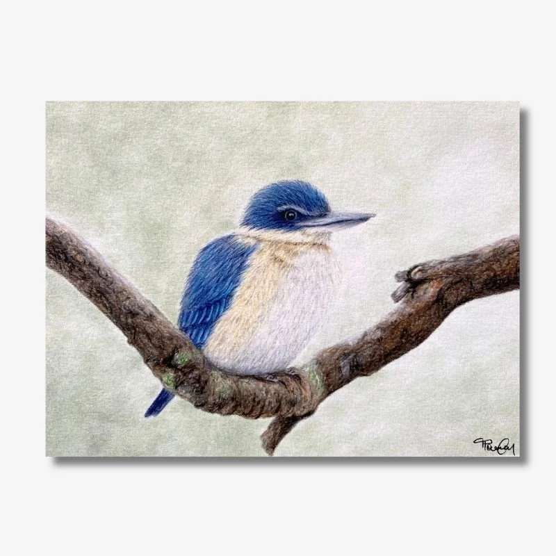 Kingfisher Green Background