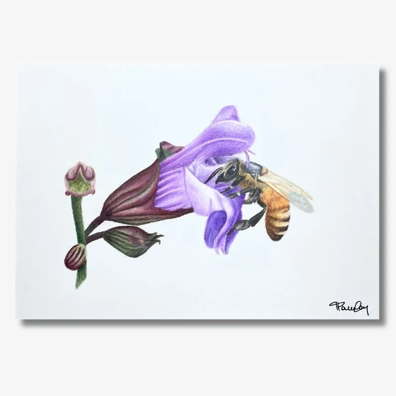 Bee in Flower Original Artwork