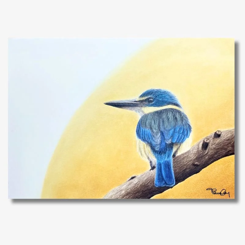 Kingfisher at Sunset Original Artwork