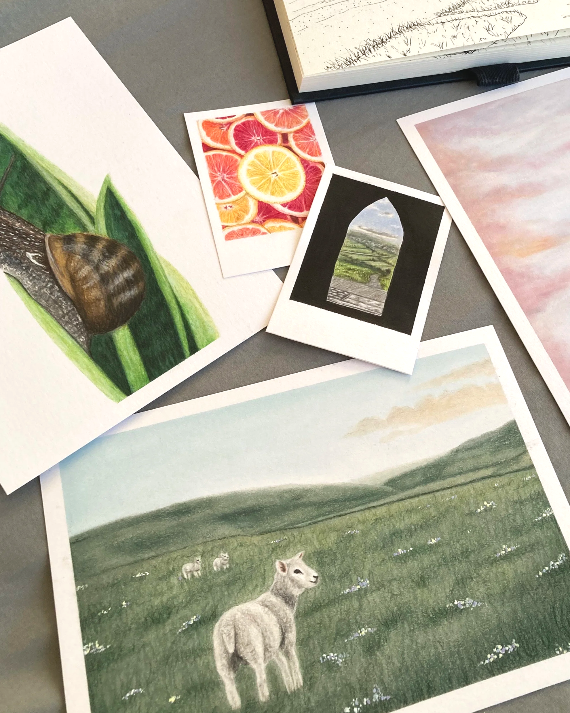 A collection of artwork and prints on a table, including a watercolor painting of a snail on a green leaf, a colorful citrus fruit collage, and a landscape painting with mountains and sheep.