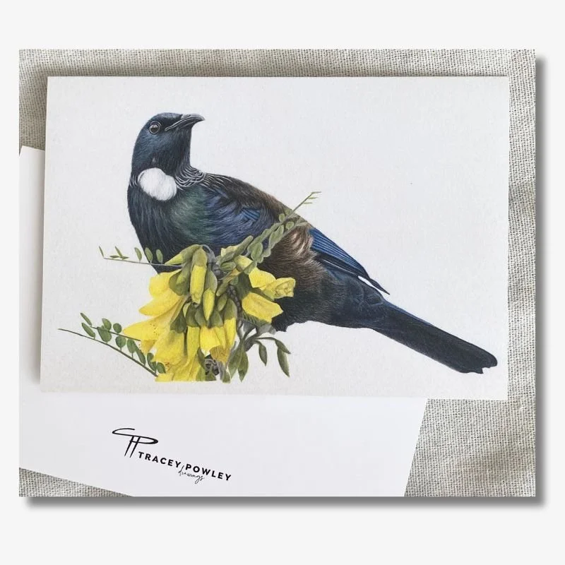 Tui on Kowhai Card