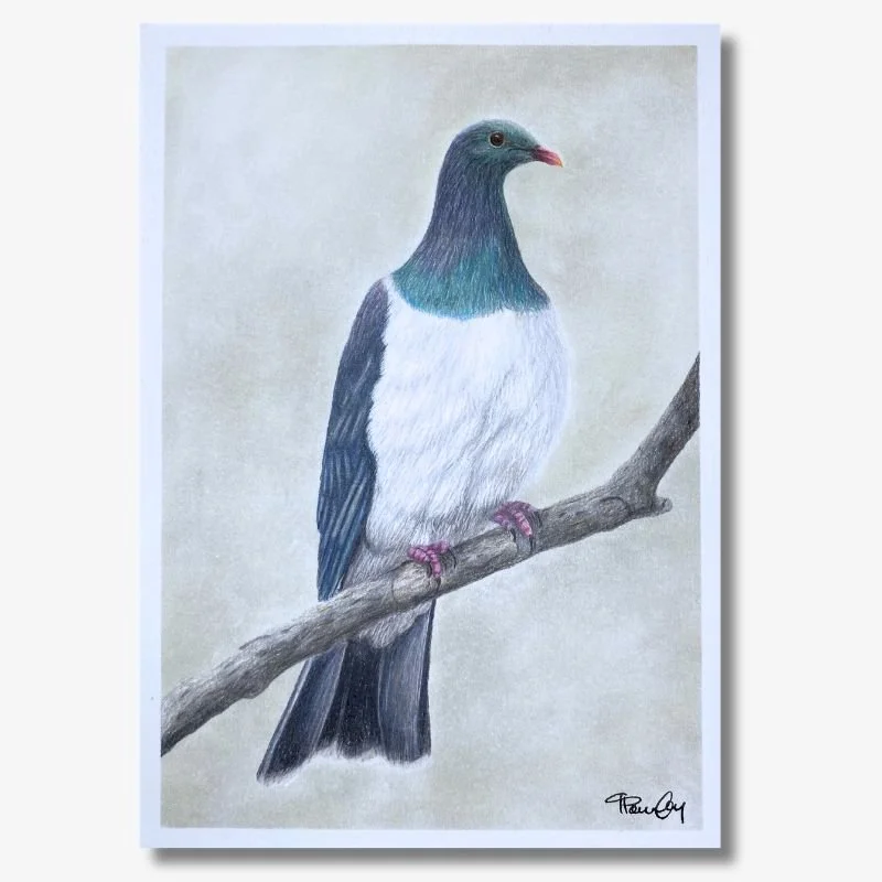 Kereru on Sandy Background Original Artwork
