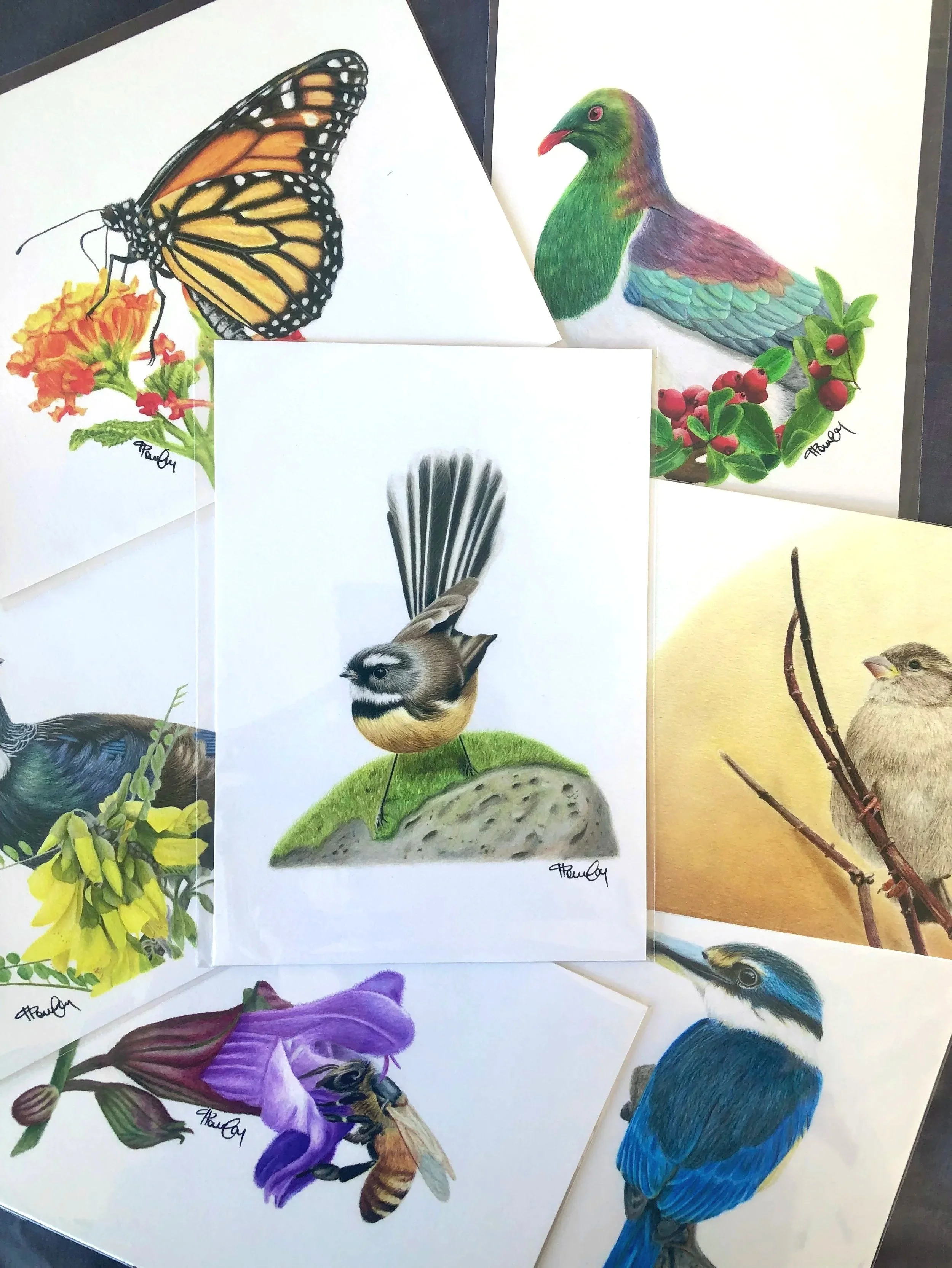 Collection of bird illustrations including a monarch butterfly, a small bird with a yellow chest and black stripe, a purple and yellow flower, and a blue bird with a white eyebrow.
