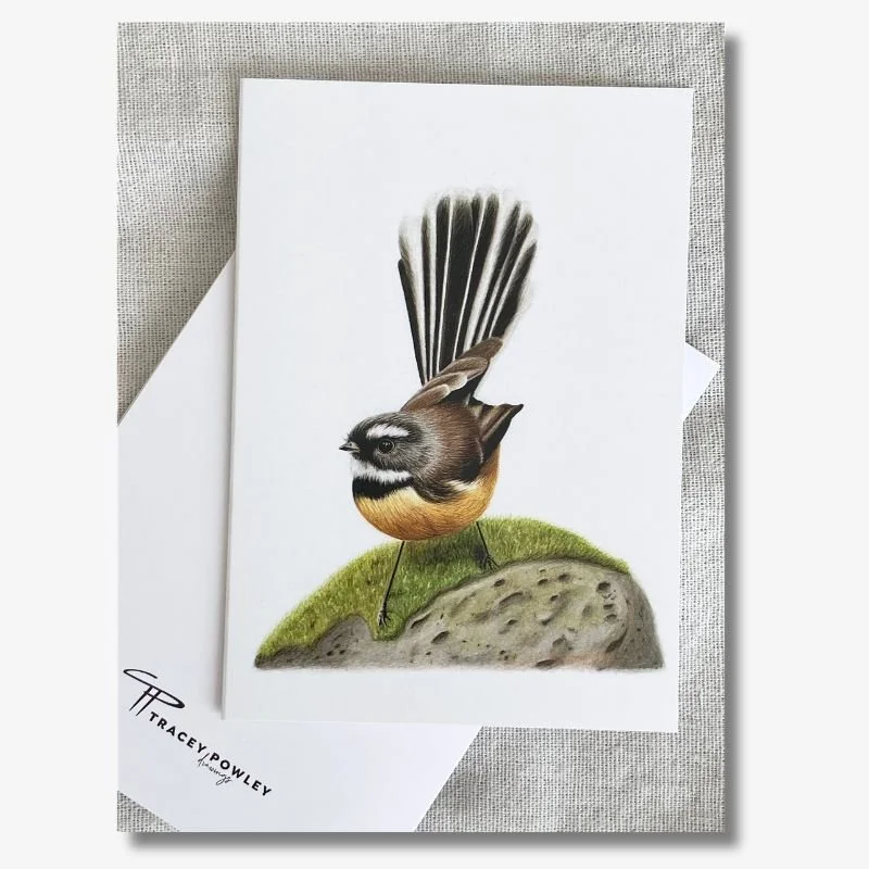 Fantail/Piwakawaka Card