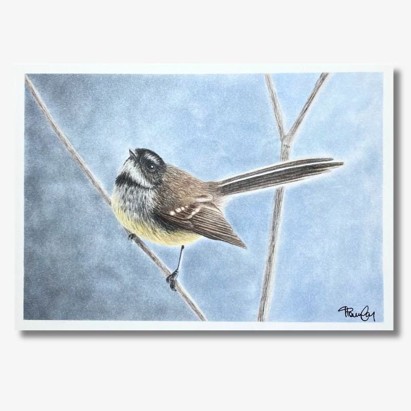 Fantail on Blue Background Original Artwork