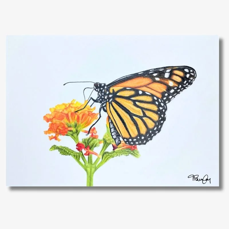 Monarch Butterfly Original Artwork