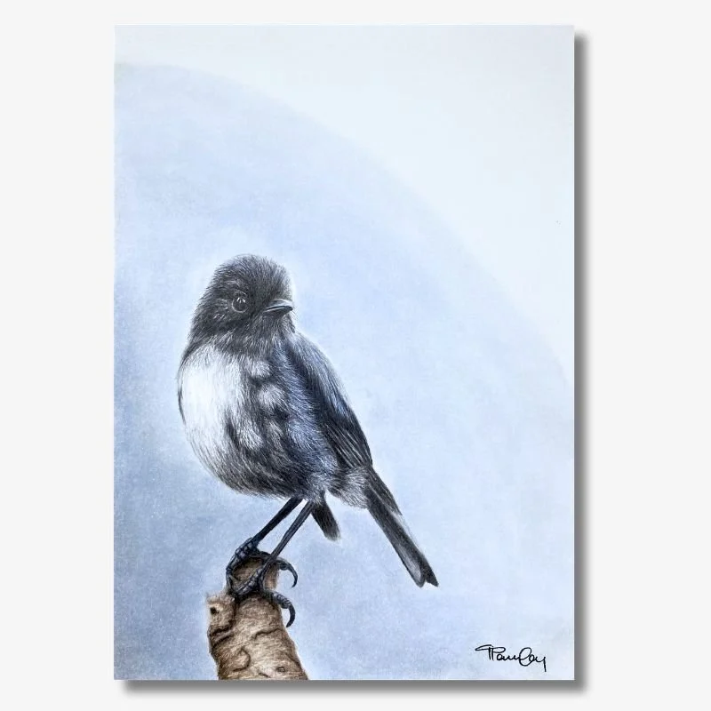New Zealand Robin Original Artwork