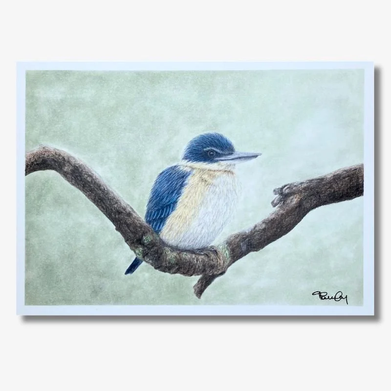 Kingfisher on Green Backgrounf Original Artwork