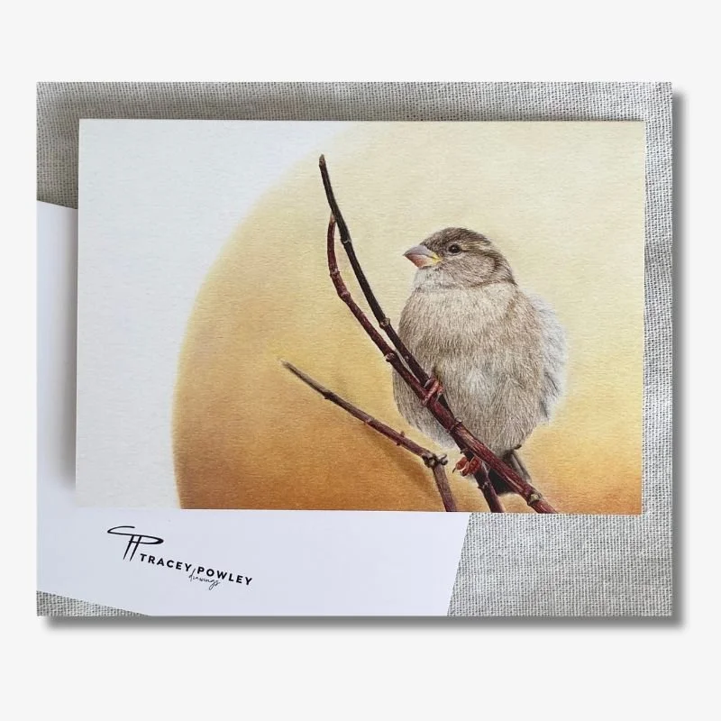 Sparrow Card