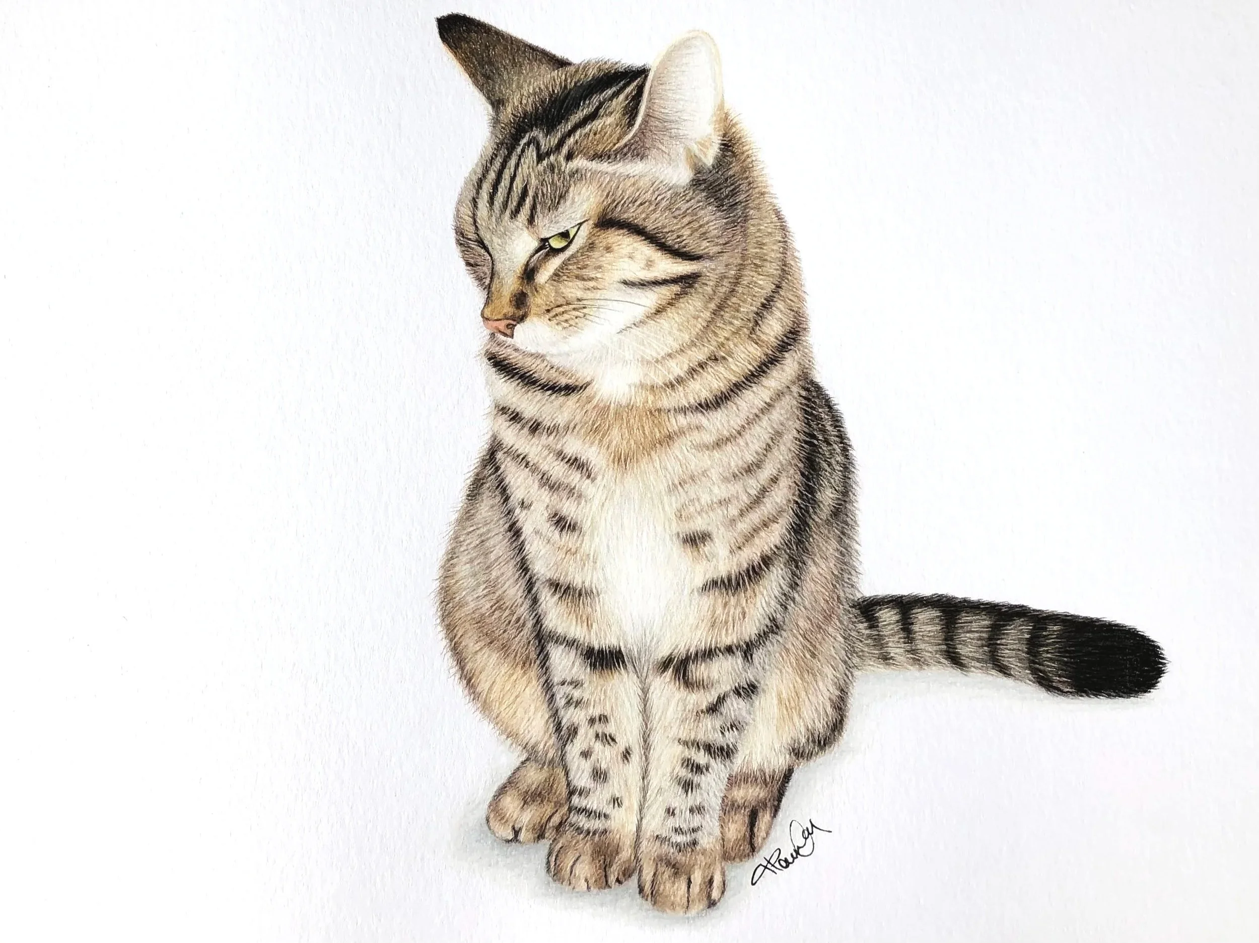 A realistic watercolor painting of a tabby cat with yellow eyes, sitting on a white background.