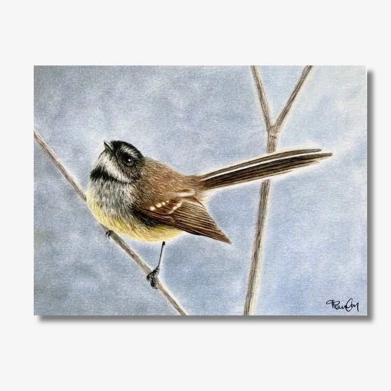 Piwakawaka/Fantail Blue Background