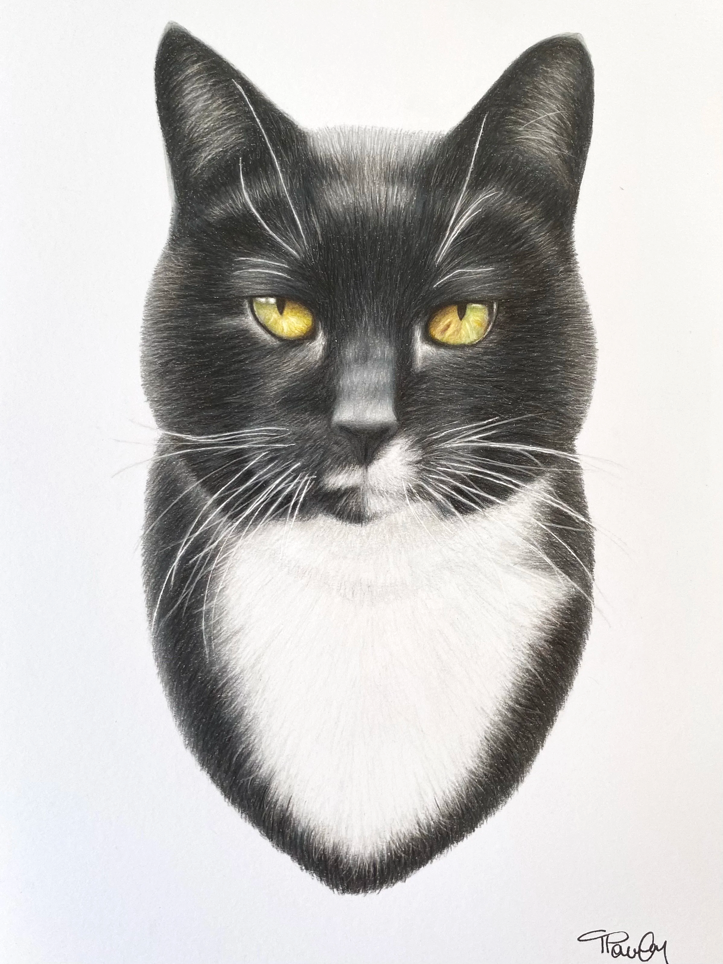 A realistic colored pencil drawing of a black and white cat with yellow eyes, signed in the bottom right corner.