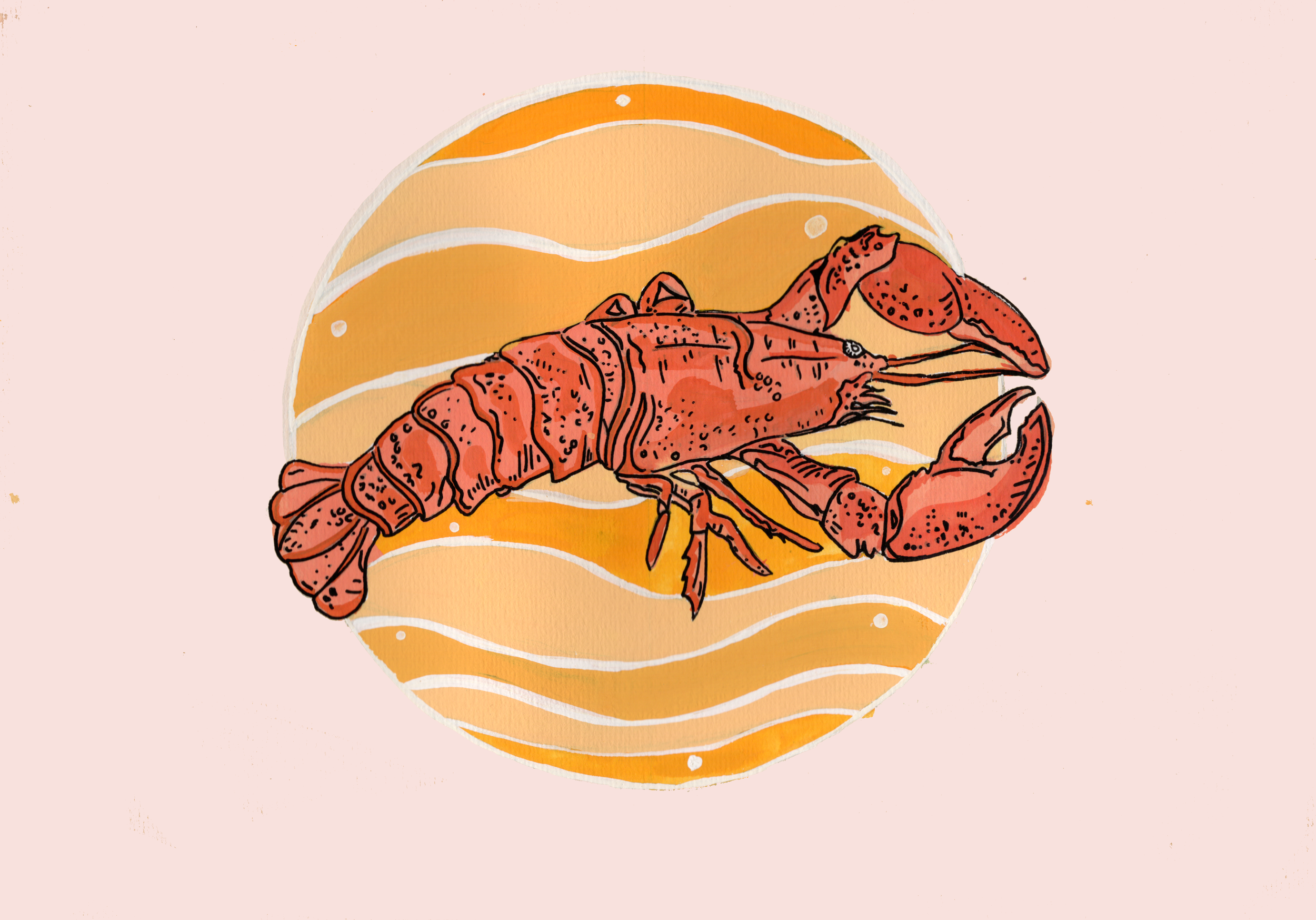A hand-drawn and painted illustration of a lobster against an orange circle background with pink around the borders