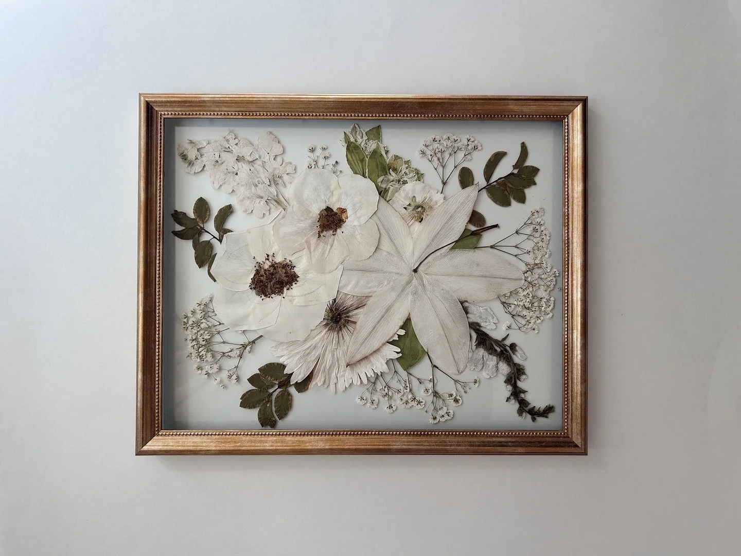 Framed wall art with pressed white flowers and green leaves arranged on white background.