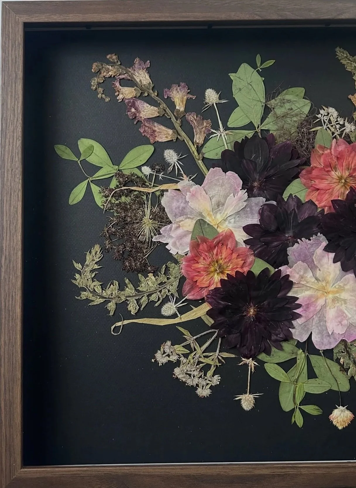 A framed arrangement of pressed flowers and leaves on a black background.