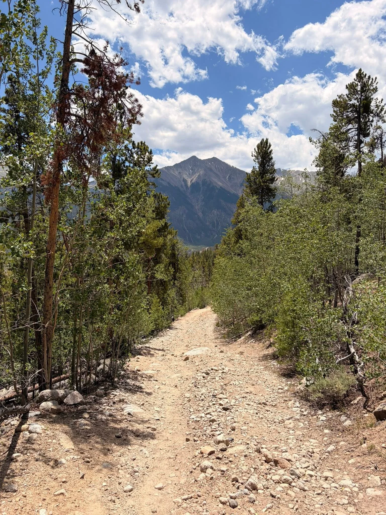 A mountainous landscape with a dirt trail in the foreground, surrounded by green trees, and a mountain with some snow near the top under a partly cloudy blue sky.