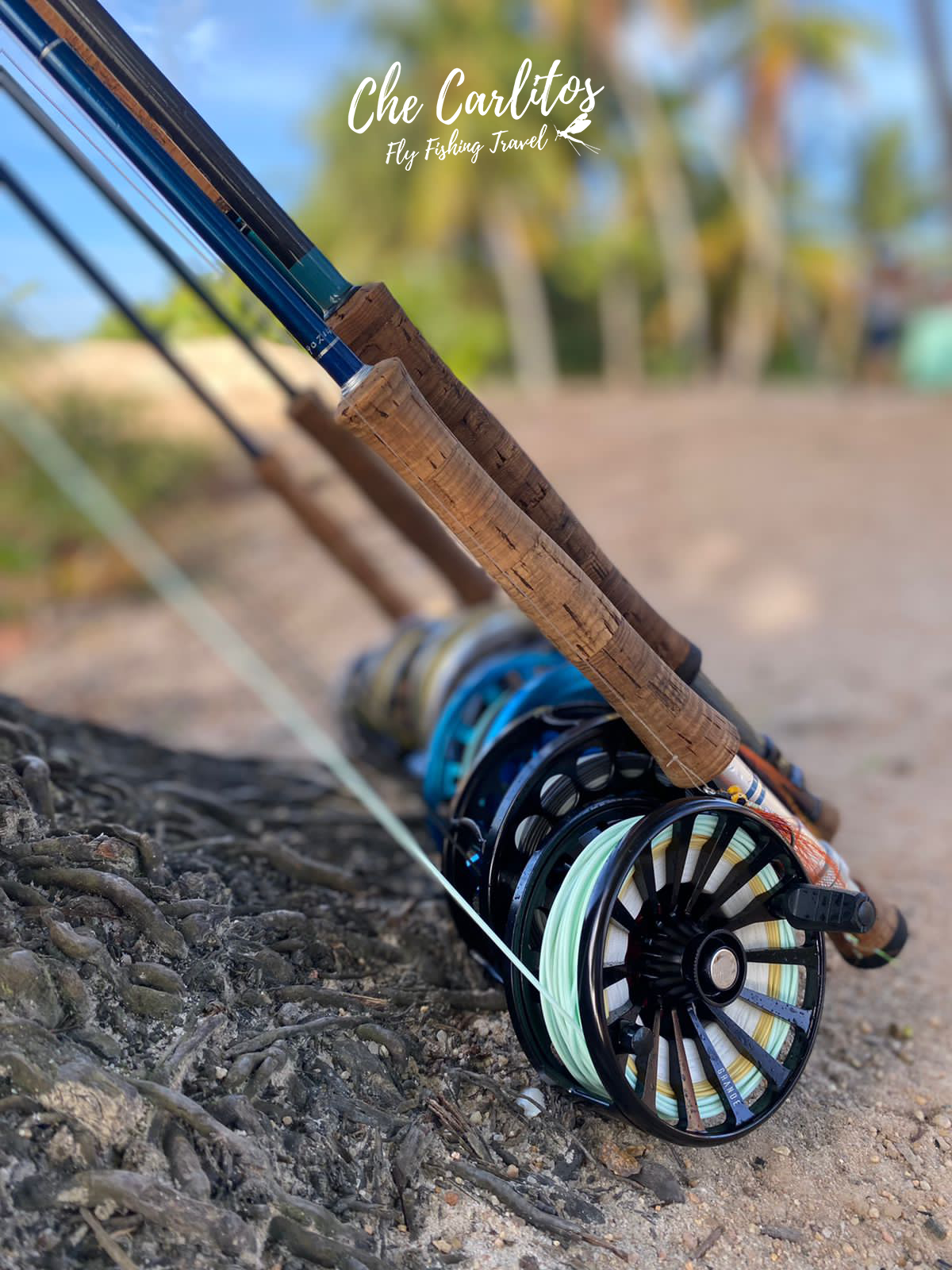 Boats-and-Gear-Silver-King-FLYFISHINGTRAVEL-Che-Carlitos-(1).png
