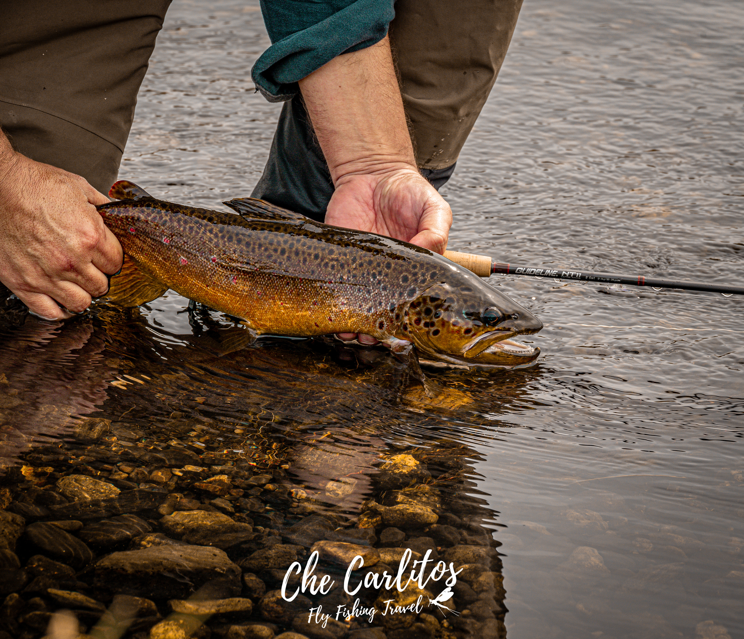 Bella Sofia - Che Carlitos Fly Fishing Travel (21).png