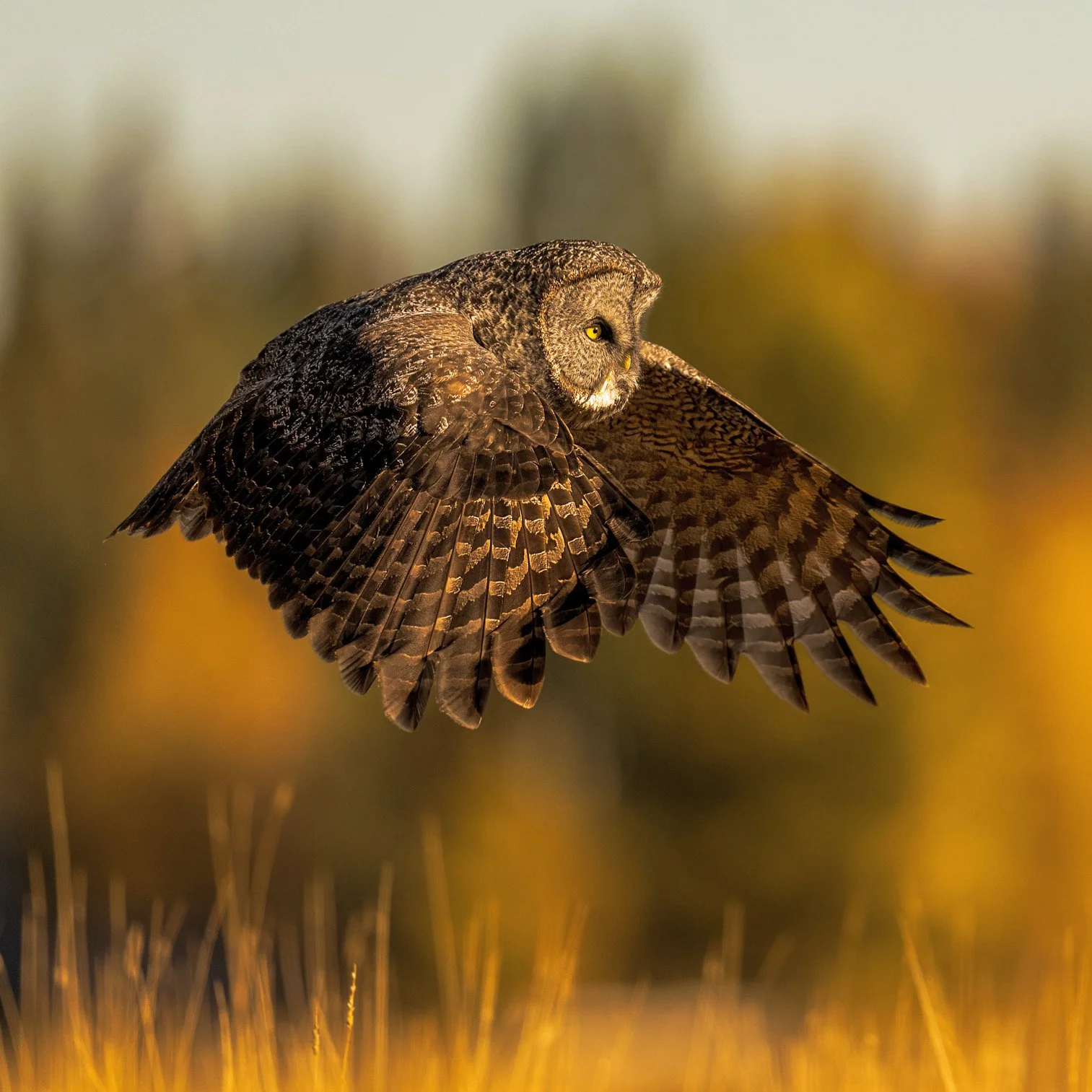 37910A0C-7775-49C7-AD5B-31667F8DF458.jpeg
