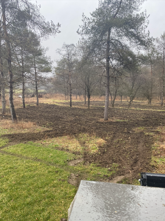 A backyard scene with a grassy area in the foreground and a plowed garden bed with dark soil extending into the distance. Several tall, sparse trees are present, and the sky is overcast.