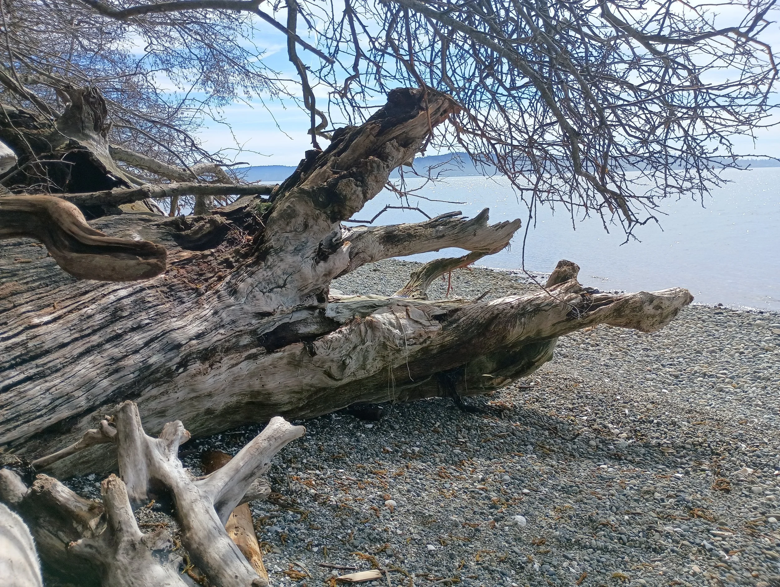 Cama beach 2025 (9).jpg