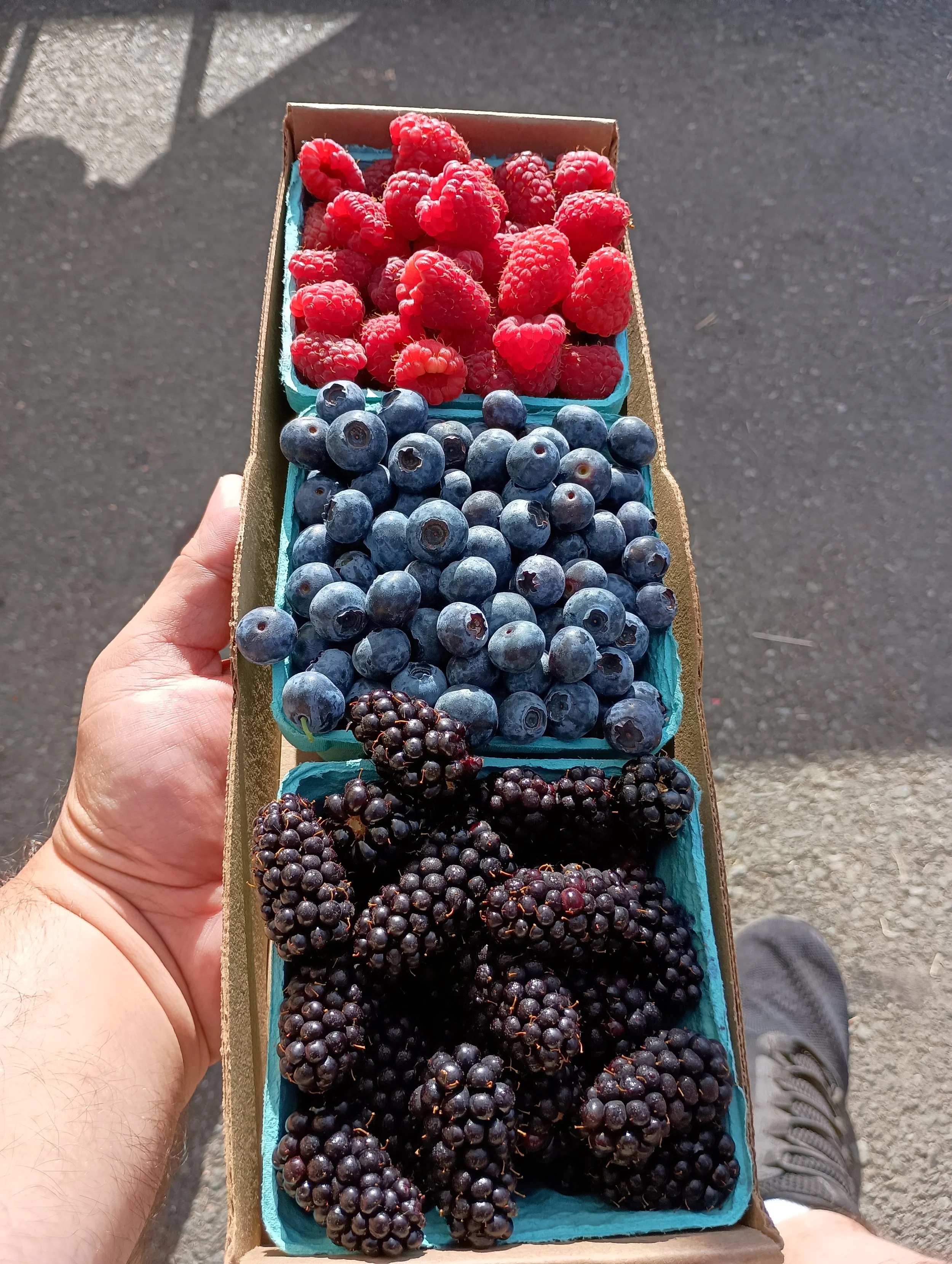 Berry Tray (3).jpg