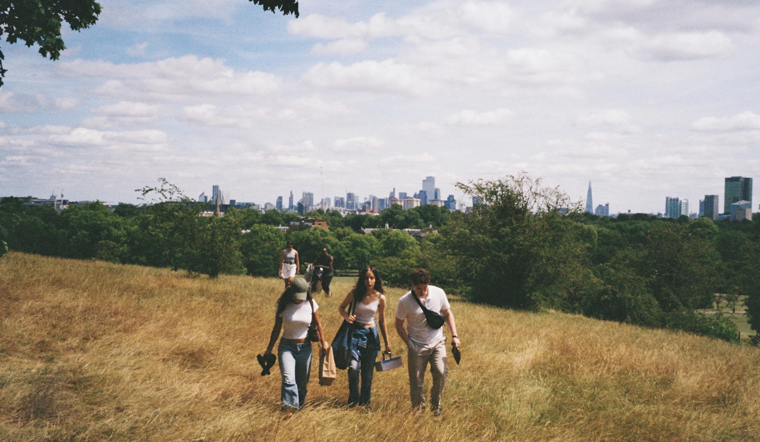 People walking through a grassy park with trees, overlooking a city skyline under a partly cloudy sky.