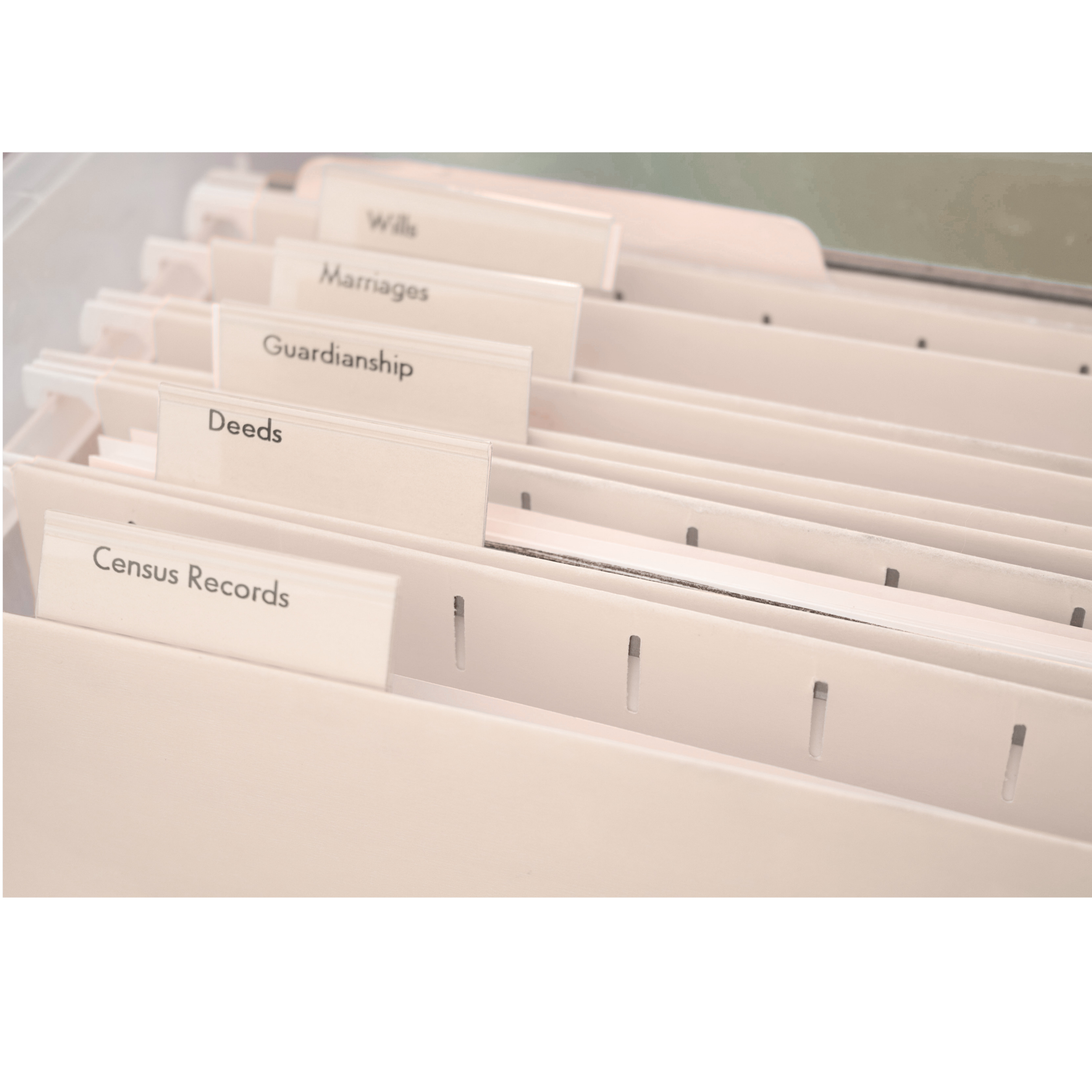 File folder labels with categories such as 'Wild,' 'Marriages,' 'Guardianship,' and 'Deeds' in a filing tray.