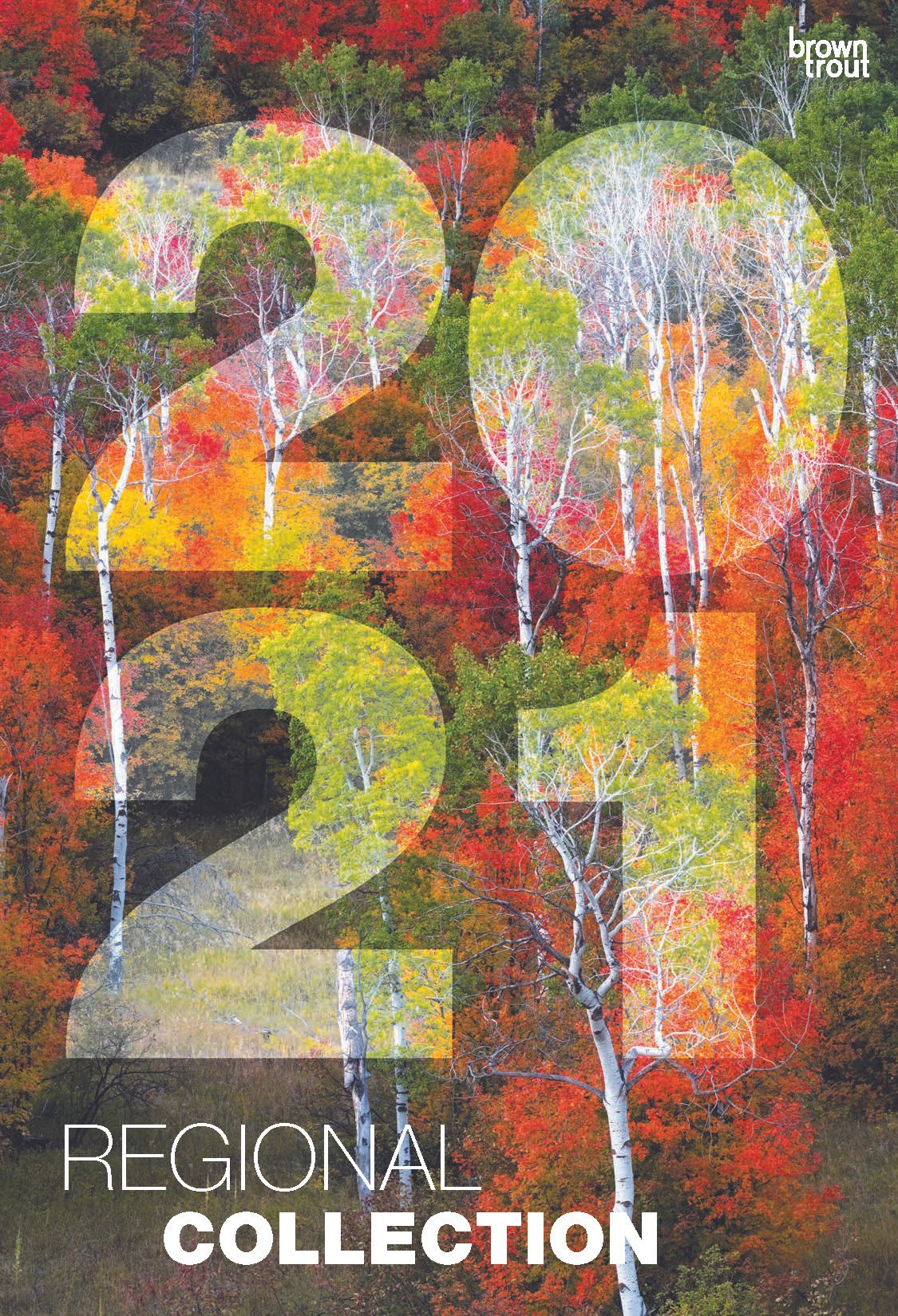 2021_RegionalSupplement_Catalog_v01_eml_Page_001.jpg