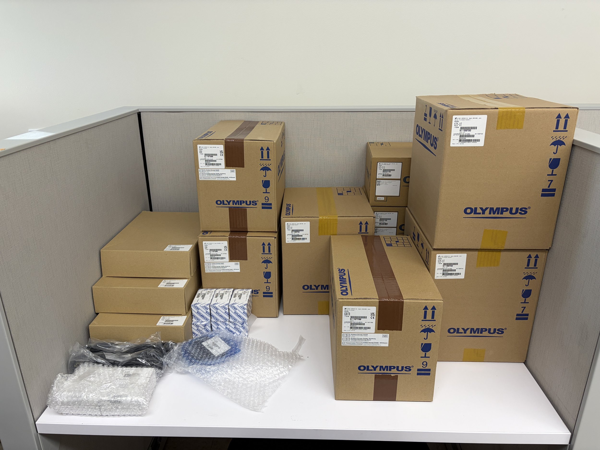 Our stereomicroscopes are here (2025)