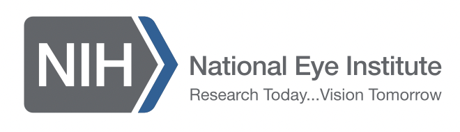 Chen Lab Received NIH R00 Grant