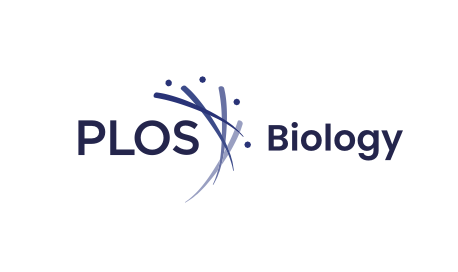 New Collaborative Paper in PLoS Biology: Decoding Olfactory Circuit Wiring in Drosophila