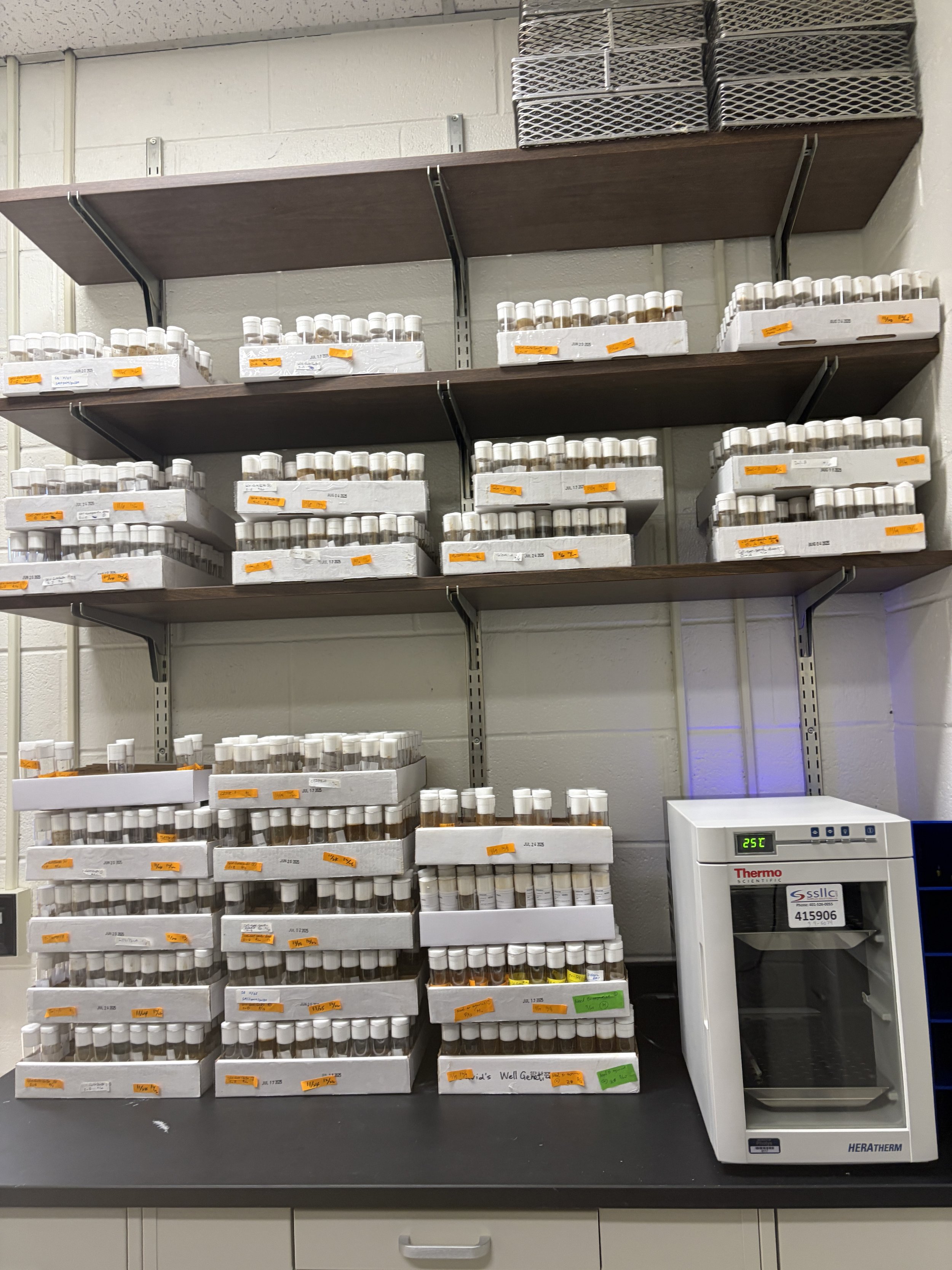 Fly stocks are in the lab (2025)