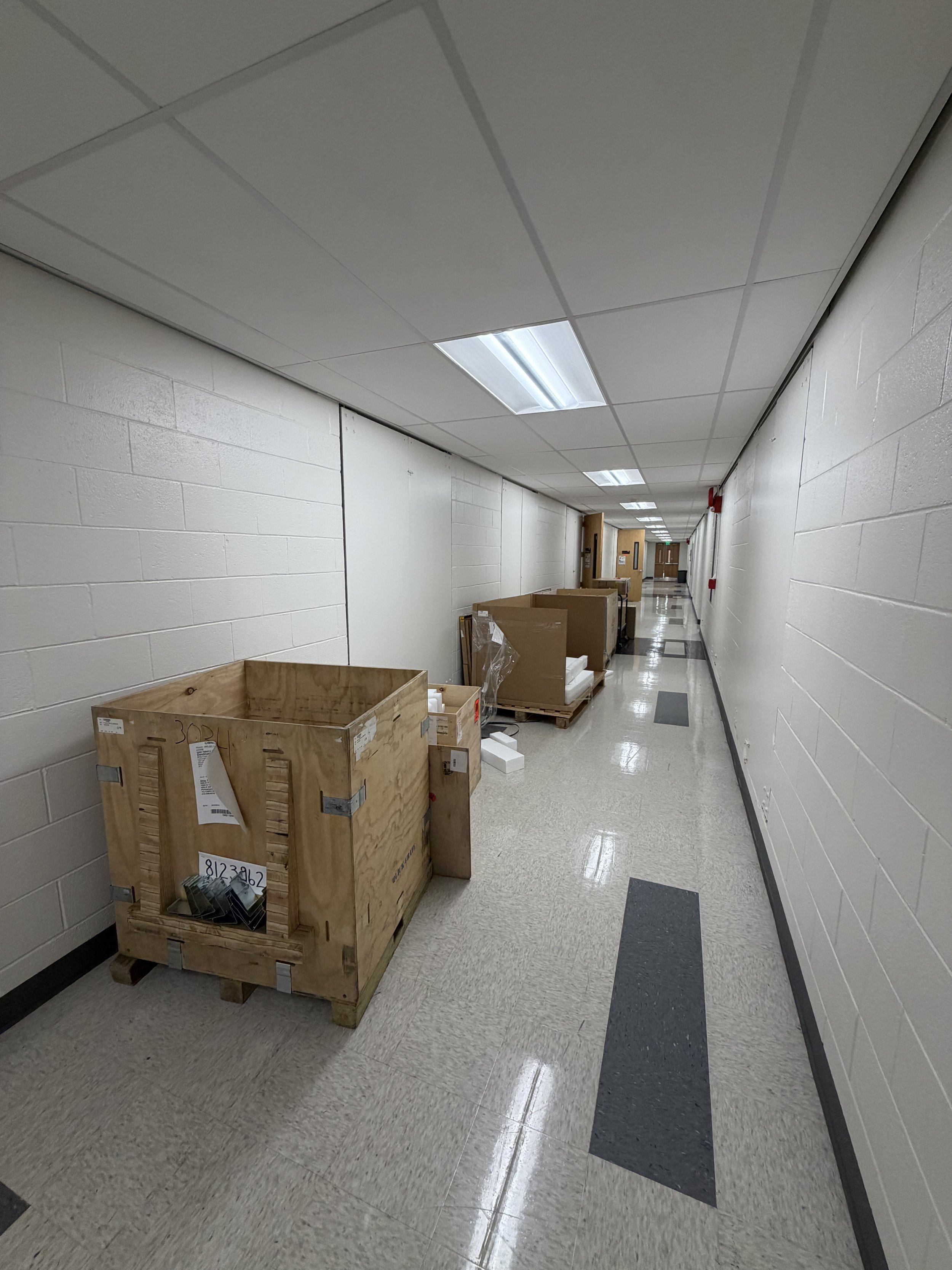SP8 confocal microscope installation day (2026)