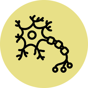 circular icon of a neuron with a bright yellow background