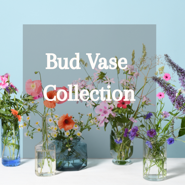 Bud Vase Collection