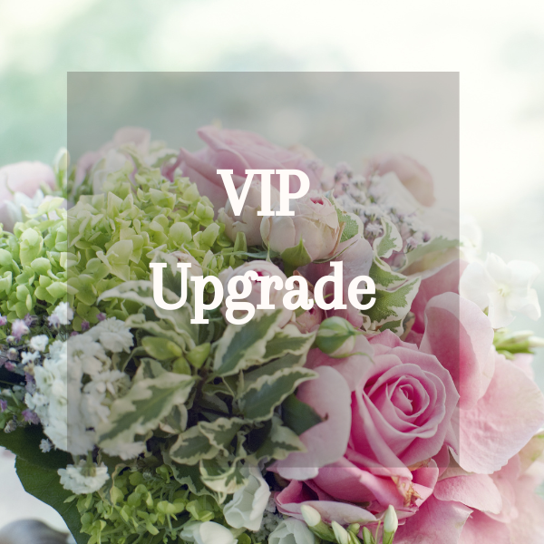 VIP Upgrade