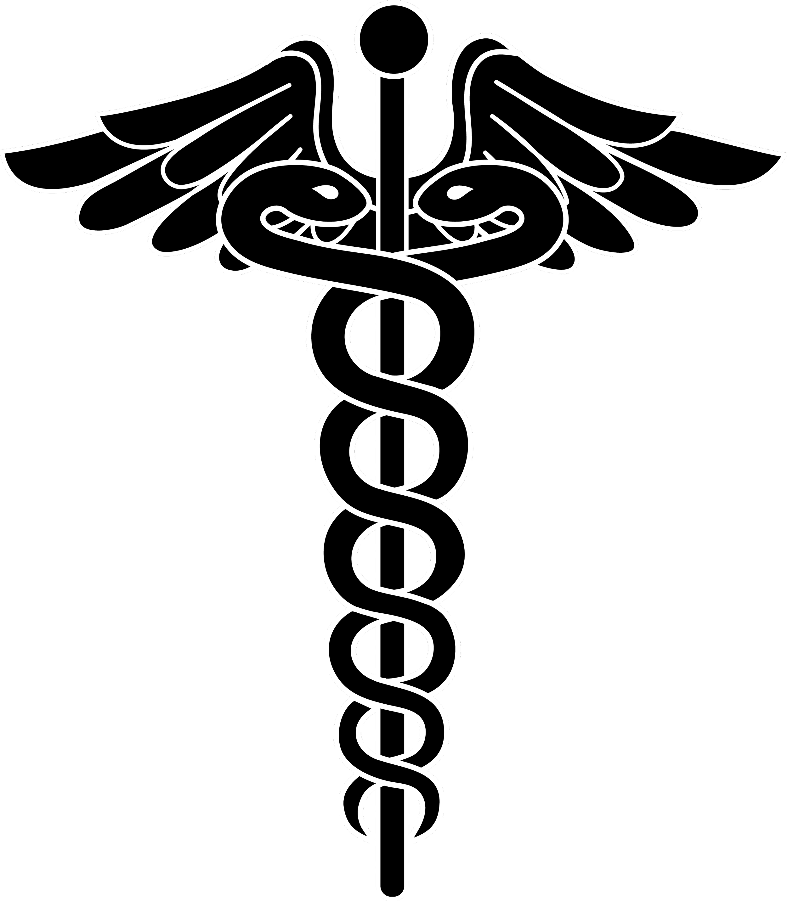 Into the Medical World